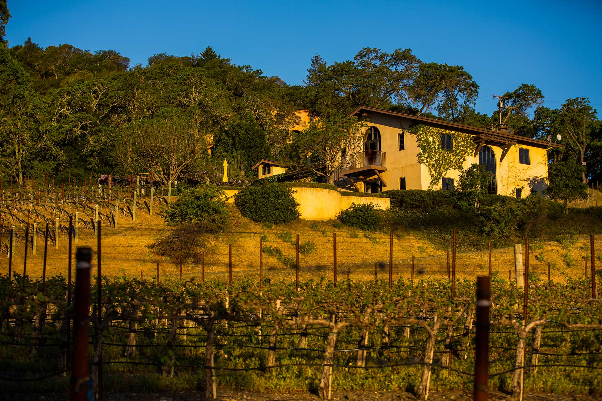 The Winery at Keever Vineyards in Yountville, California
