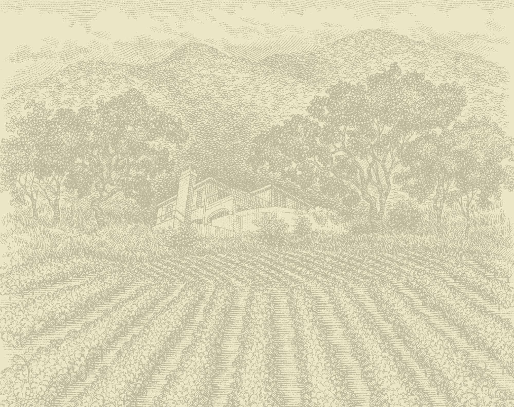 Call Keever Wines - (707) 944-0910