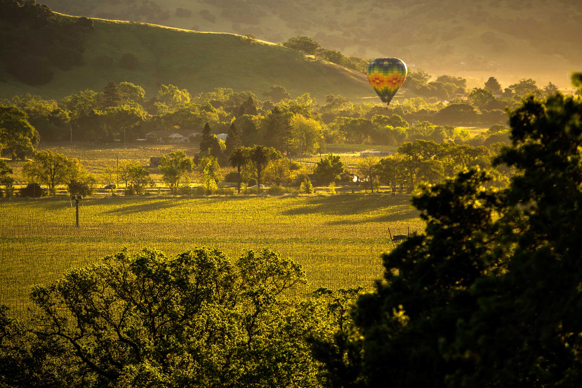 A hot air balloon floating through the valley at Keever Vineyards in Yountville, California